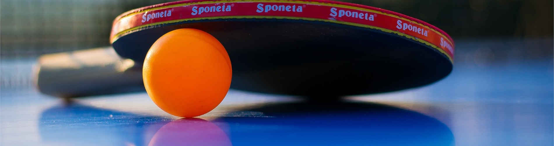 Tischtennis: Perfektion im Ping und Pong!